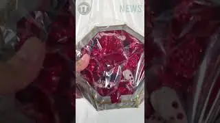 Space Marine 2 Collector's Edition Unboxing 