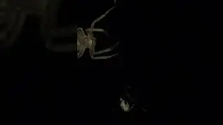 А если посмотреть с любовью, а не страхом ?