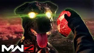 Final Stream of 2023! / MWZ