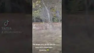 Фо фо