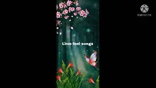 Love feel songs 