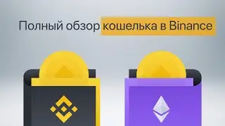 Полный обзор кошелька в Binance