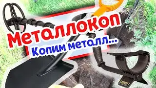 Металлокоп. Копим металл / Metal detector. We're digging metal...