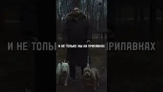 #fardi #снг
