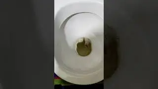 как быстро отмыть унитаз от камня