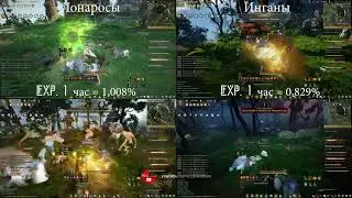 Прокачка перса с 61 на 62 лвл/ споты Камасильвии.Black Desert Online.