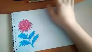 TAG:  Рисую розы.🌹 Как научиться рисовать розы?