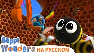 Мёд и Пчелы🍯🐝 | ЧУДЕСА БЛИППИ | Обучающие мультики для детей