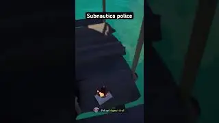 Subnautica police