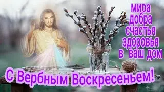 С Вербным Воскресеньем!Красивая песня с вербным воскресеньем.