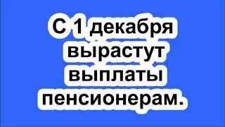 С 1 декабря вырастут выплаты пенсионерам.