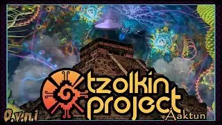 Tzolkin Project - Wiits - 175 (OVNI Records Hitech)