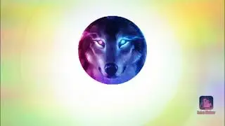 Новое интро.:)