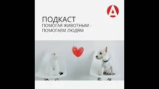 Мейнкуны. Адаптация котенка в новом доме. Второй выпуск. Реклама | ООО Апиценна| ИНН 7703440336 |...