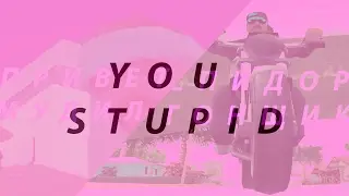 You Are Stupid