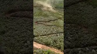 This is The Untamed African MTB Stage Race #absacapeepic #epic2024 #untamed
