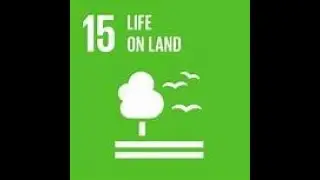 UN SDG - 15