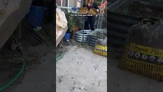 Expandí mi jardín