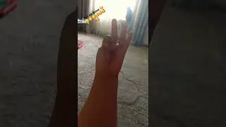 11 июня 2023 г.
