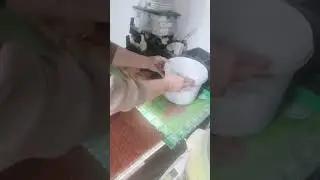 Забой гуся./2й этап проращивания пшеницы./Вода с йодинолом.