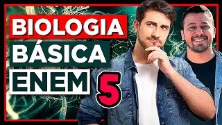 🧬 TUDO DE GENÉTICA DO ENEM: 1ª e 2ª Leis de Mendel, Heredograma, Sangue (Prof. Victor Tibúrcio)
