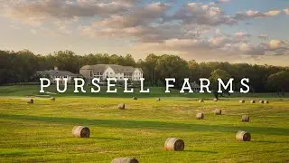 Pursell Farms | Is it WORTH the hype?
