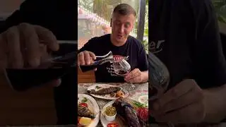 СОЧИНСКАЯ ФОРЕЛЬ НА ГОРЕ БОЛЬШОЙ АХУН 🔥🔥🔥