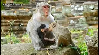 Oh wow...Janna steal drink milk with brother Jody, Jane mom warning Janna cry run away so upset!