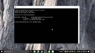 Burp - Starting from Command line