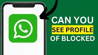 CAN YOU SEE PROFILE PICTURE IF SOMEONE BLOCKS YOU ON WHATSAPP