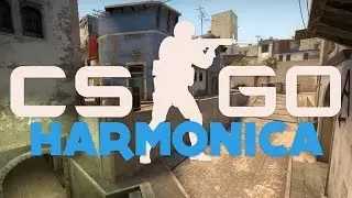 CS:GO Highlights #17 - harmonica guy, Noscopes
