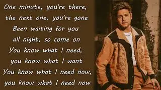 Niall Horan - Nice To Meet Ya (Stripped Version) (Lyrics)