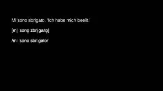 Sprachwissenschaft 4: Phonetik und Phonologie