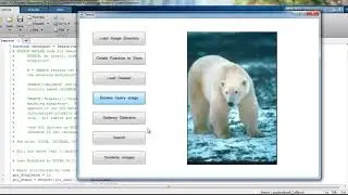 Projects in Digital Image Processing | Thesis in Digital Image Processing