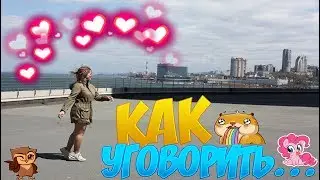 Как уговорить родителей купить домашнее животное?!