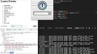 BR1 - Week2 Day4 Part2 - Recap on Sinatra Form and Input elements