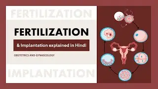 Fertilization in hindi l human fertilization l fertilization of egg and sperm in human