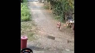 Incredible, very strange moments captured by security cameras #3