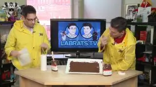 Mobile Software Keyboards Explained - Food Demo - Lab Rats #291