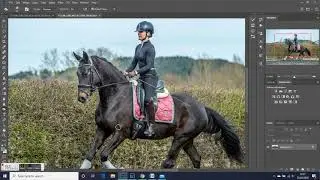 Editing as an Equine Photographer - Start to finish