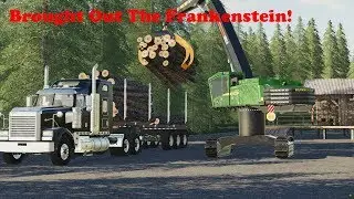 FS19 | Forestry On Willamina Forest | Loading The Truck | Timelapse | S01 EP11
