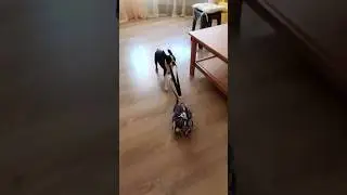 ЭТО МОЯ СУМКА!!!
