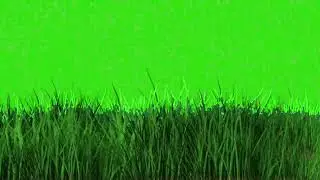 green screen grass #greenscreen #grass #graphicdesign #graphics