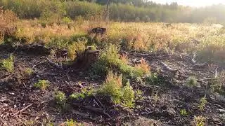 Охота 