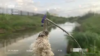 Дешевый карманный спиннинг для мормышинга. Вскрываем новые локации