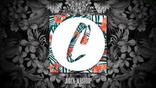 JUICY MASHUP (DJ FLe) S.W.C