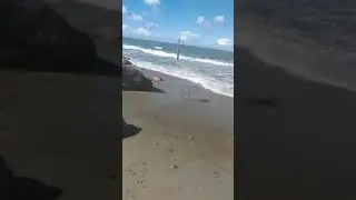 Самоизоляция у Балтийского моря, Андрей.