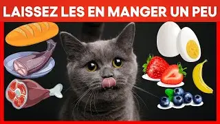 Les aliments pour les humains qui sont en réalité bons pour nos Chats