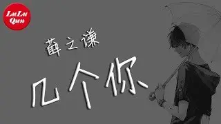薛之谦《几个你》这世界怎么都是你，原来你住在我心里【抖音熱門 - 動態歌詞版】