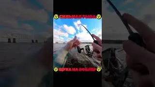 ☢️СИЛЬНАЯ РЫБА / ЩУКА НА ВОБЛЕР☢️ #fishing  #bigfish #рыбалка